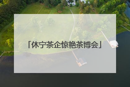 休宁茶企惊艳茶博会