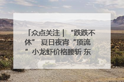 众点关注｜“跌跌不休” 夏日夜宵“顶流”小龙虾价格腰斩 东营人的快乐来了