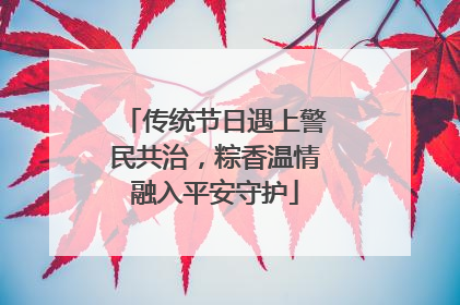 传统节日遇上警民共治，粽香温情融入平安守护
