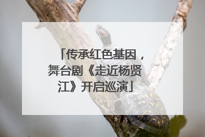 传承红色基因，舞台剧《走近杨贤江》开启巡演