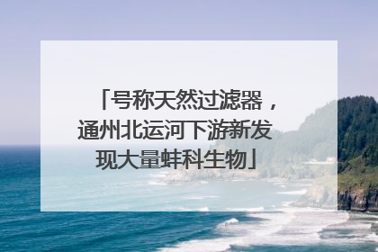 号称天然过滤器，通州北运河下游新发现大量蚌科生物