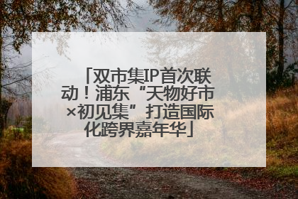 双市集IP首次联动！浦东“天物好市×初见集”打造国际化跨界嘉年华