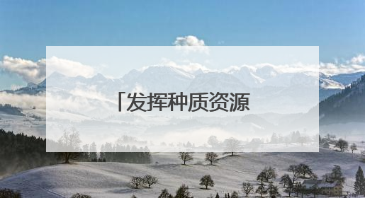 发挥种质资源优势，元江芒果香更长走更远