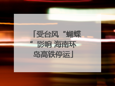 受台风“蝴蝶”影响 海南环岛高铁停运