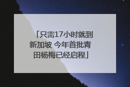 只需17小时就到新加坡 今年首批青田杨梅已经启程