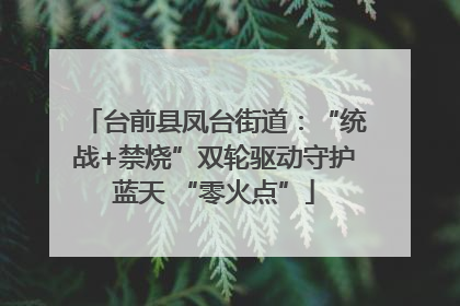 台前县凤台街道：“统战+禁烧”双轮驱动守护蓝天 “零火点”