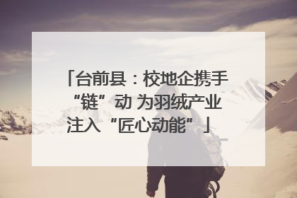 台前县：校地企携手“链”动 为羽绒产业注入“匠心动能”