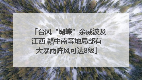 台风“蝴蝶”余威波及江西 赣中南等地局部有大暴雨阵风可达8级