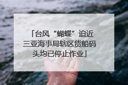 台风“蝴蝶”迫近 三亚海事局辖区货船码头均已停止作业