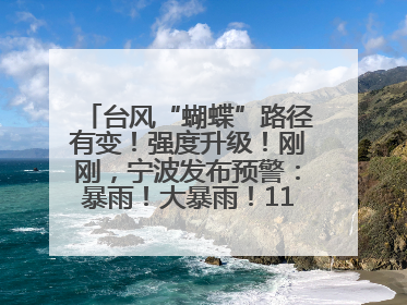 台风“蝴蝶”路径有变！强度升级！刚刚，宁波发布预警：暴雨！大暴雨！11级大风！