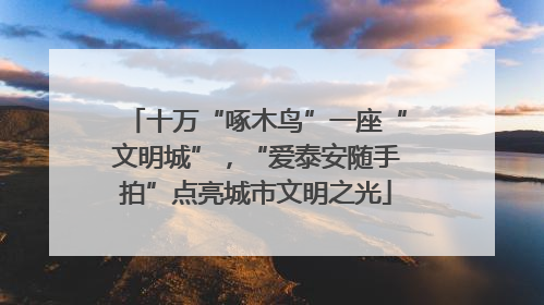 十万“啄木鸟”一座“文明城”，“爱泰安随手拍”点亮城市文明之光