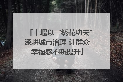十堰以“绣花功夫”深耕城市治理 让群众幸福感不断提升