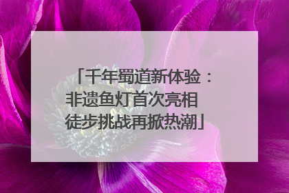 千年蜀道新体验：非遗鱼灯首次亮相 徒步挑战再掀热潮