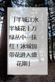 半城江水半城花丨万绿丛中一抹红！冰城锦带花进入盛花期