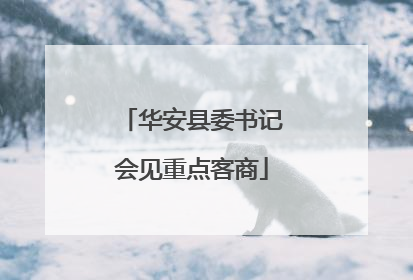 华安县委书记会见重点客商