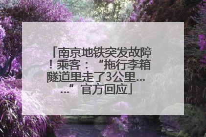 南京地铁突发故障！乘客：“拖行李箱隧道里走了3公里……”官方回应