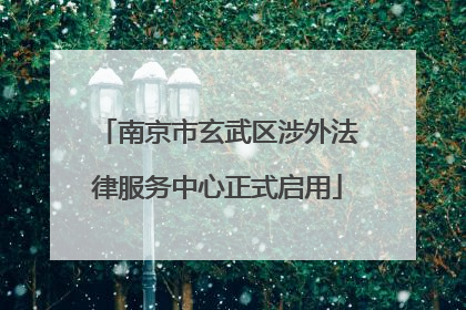 南京市玄武区涉外法律服务中心正式启用
