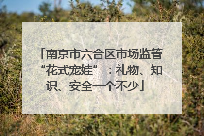 南京市六合区市场监管“花式宠娃”：礼物、知识、安全一个不少