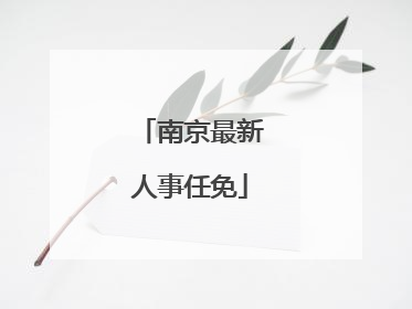 南京最新人事任免