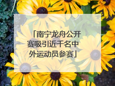 南宁龙舟公开赛吸引近千名中外运动员参赛