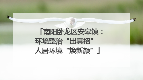 南阳卧龙区安皋镇：环境整治“出真招” 人居环境“焕新颜”