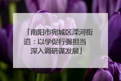 南阳市宛城区溧河街道：以学促行强担当 深入调研谋发展