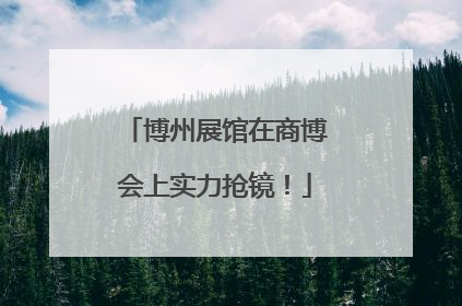 博州展馆在商博会上实力抢镜！