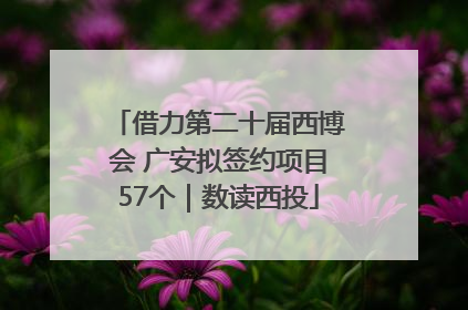 借力第二十届西博会 广安拟签约项目57个｜数读西投