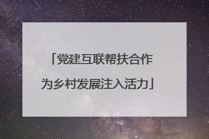 党建互联帮扶合作 为乡村发展注入活力