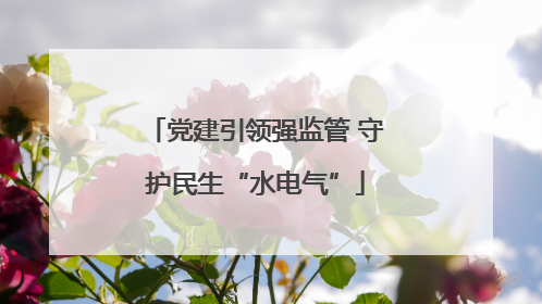 党建引领强监管 守护民生“水电气”