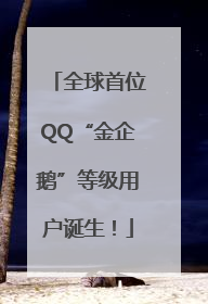 全球首位QQ“金企鹅”等级用户诞生！