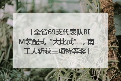 全省69支代表队BIM装配式“大比武”，南工大斩获三项特等奖
