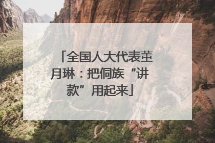 全国人大代表董月琳：把侗族“讲款”用起来