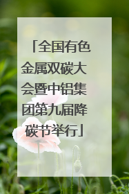 全国有色金属双碳大会暨中铝集团第九届降碳节举行