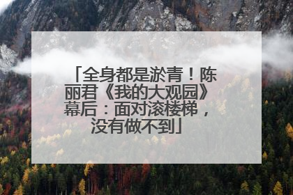 全身都是淤青！陈丽君《我的大观园》幕后：面对滚楼梯，没有做不到
