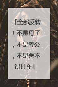 全部反转！不是母子，不是考公，不是舍不得打车