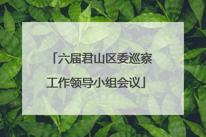 六届君山区委巡察工作领导小组会议