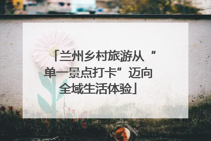 兰州乡村旅游从“单一景点打卡”迈向全域生活体验