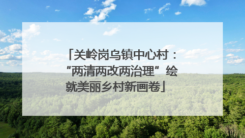 关岭岗乌镇中心村：“两清两改两治理”绘就美丽乡村新画卷