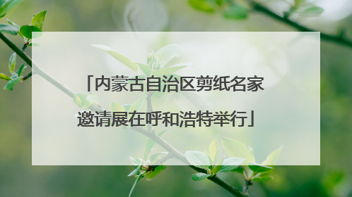 内蒙古自治区剪纸名家邀请展在呼和浩特举行