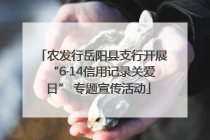 农发行岳阳县支行开展“6·14信用记录关爱日” 专题宣传活动