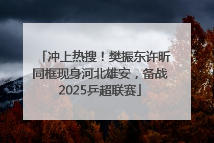 冲上热搜！樊振东许昕同框现身河北雄安，备战2025乒超联赛