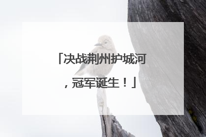 决战荆州护城河，冠军诞生！