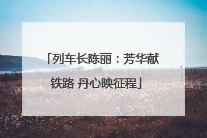 列车长陈丽：芳华献铁路 丹心映征程