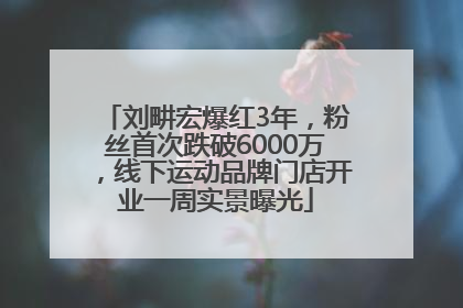 刘畊宏爆红3年，粉丝首次跌破6000万，线下运动品牌门店开业一周实景曝光