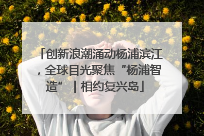 创新浪潮涌动杨浦滨江，全球目光聚焦“杨浦智造”｜相约复兴岛