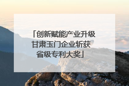 创新赋能产业升级 甘肃玉门企业斩获省级专利大奖