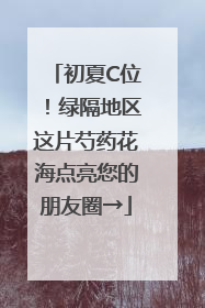 初夏C位！绿隔地区这片芍药花海点亮您的朋友圈→