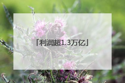 利润超1.3万亿