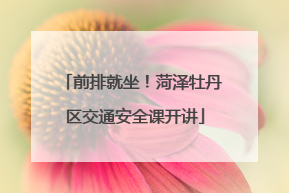 前排就坐！菏泽牡丹区交通安全课开讲